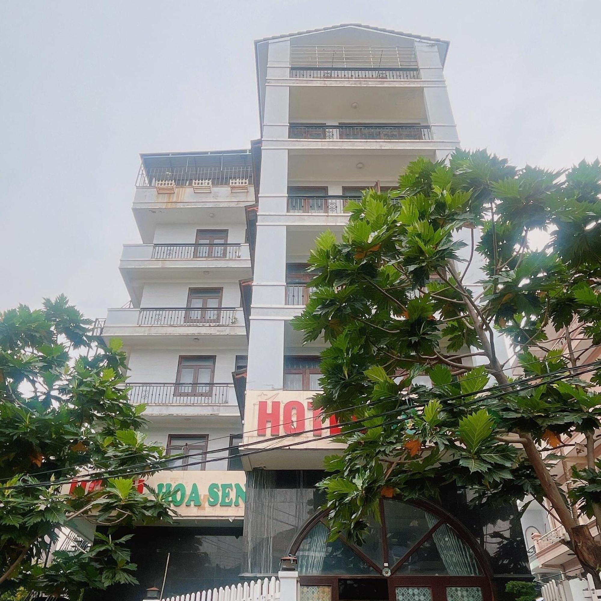 Hoa Sen TP. Hồ Chí Minh
